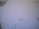Previous photo. 10 mins before last