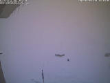 This camera updates every 10 mins