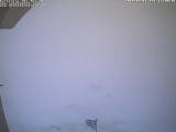 Previous photo. 10 mins before last