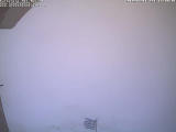 Previous photo. 10 mins before last
