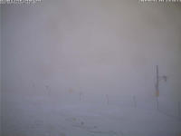 Previous photo. 15 mins before last