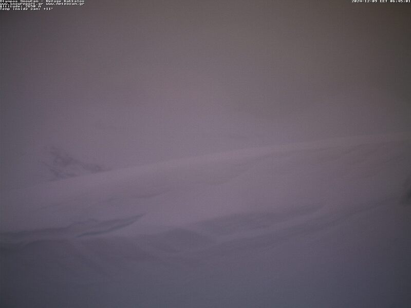 0800.jpg